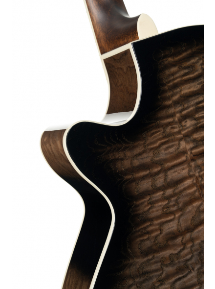 Exotic-SFX Ash (Black Gloss), зображення 5